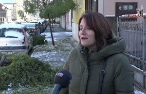 VLAŽAN SNEG OŠTETIO DRVEĆE
